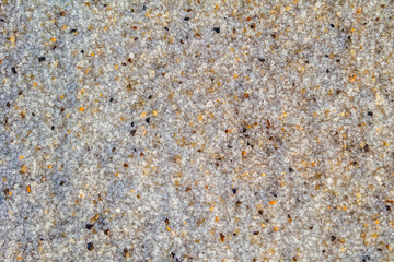 Natural salt on the coast of the Dead Sea.