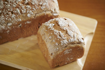 bread 