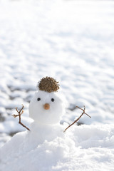 Fototapeta premium 雪だるま 雪景色