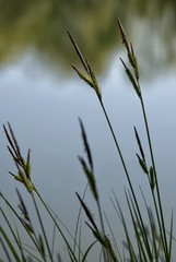 Drague de Champ-Pataule à Viriat, Ain, France