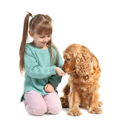 Cute little girl feeding dog on white background