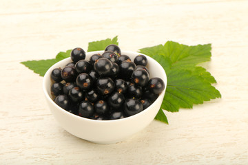 Ripe black currants