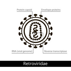 Retroviridae. Classification of viruses.
