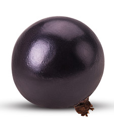 Ripe blackcurrant