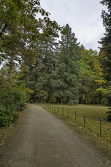 View toward forest, glade and path in National monument of landscape architecture Park museum Vrana in former time royal palace on the outskirts of Sofia, Bulgaria, Europe 