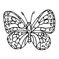 Black doodle decorative ornate butterfly isolated on white background. Beautiful vector design.