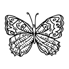 Black doodle decorative ornate butterfly isolated on white background. Beautiful vector design.