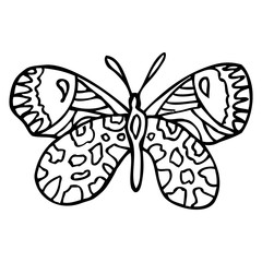 Black doodle decorative ornate butterfly isolated on white background.