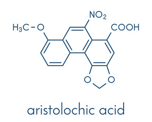 Aristolochic acid plant poison molecule. Has carcinogenic and nephrotoxic (kidney damaging) properties. Found in Aristolochia and Asarum herbs, often used in Chinese herbal medicine. Skeletal formula.