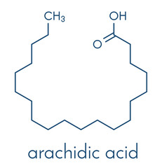 Arachidic (eicosanoic) acid molecule. Saturated fatty acid. Skeletal formula.