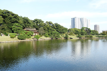 Landscape of Hamarikyu Garden