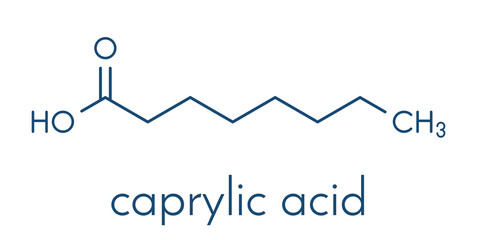 Caprylic (octanoic) acid molecule. Common saturated medium-chain fatty acid. Skeletal formula.