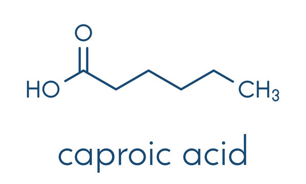 Caproic acid (hexanoic acid) fatty acid molecule. Salts and esters are called hexanoates or caproates. Skeletal formula.