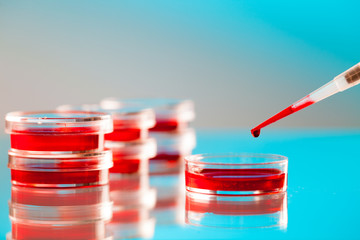 Pipette and Pcr strip