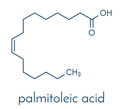 Palmitoleic acid (omega-7) fatty acid molecule. Skeletal formula.