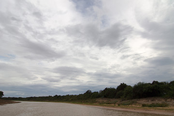 다양한 모습의 구름들