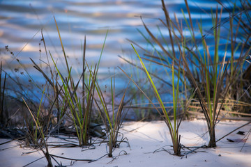 Rio Novo beaches in the region of the waterfall of the Velha Jalapao state park in Tocantins - Brazil