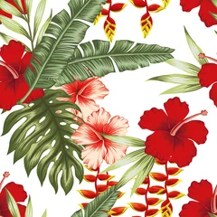 Wallpaper murals Hibiscus Jungle plants white background