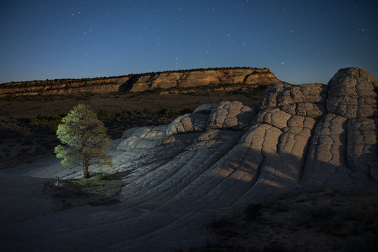 High angle scenic view of tree on Marble Canyon against star field