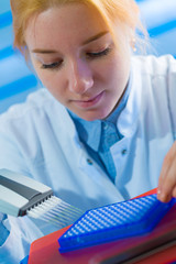 using a multi channel pipette for pcr  processing in microbiological laboratory