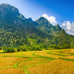 Fototapeta na wymiar Beautiful rural landscape.Vang Vieng, Laos.