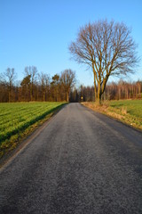 droga przez pola i las 