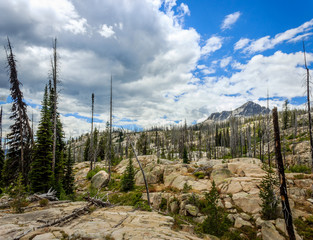 Idaho backcountry