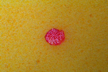 the texture of the sponge
