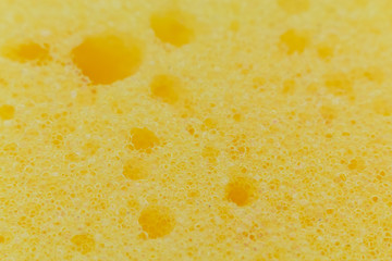 the texture of the sponge