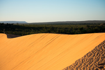 Fototapeta premium Jalapão Dunes Region in Tocantins - Brazil