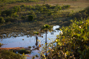 Jalapão Dunes Region in Tocantins - Brazil