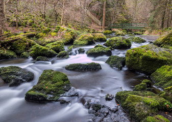 Gebirgsbach im Vogtland Sachsen