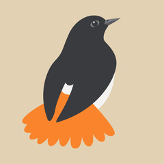 robin song  bird vector illustration flat style