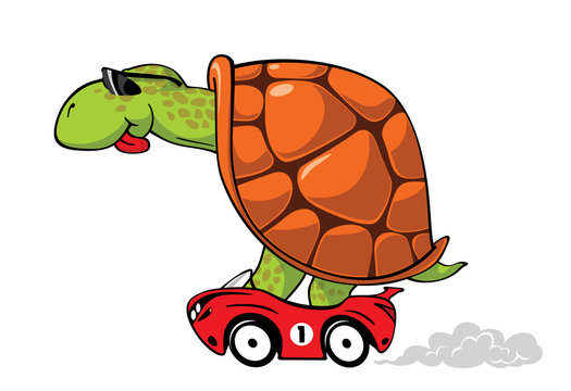 Fun turtle in red sport car