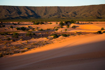 Jalapão Dunes Region in Tocantins - Brazil