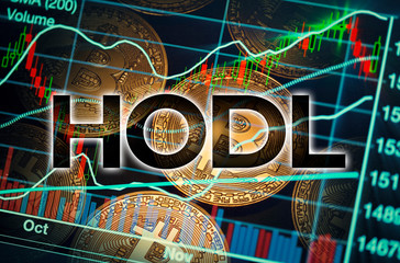 bitcoin trading market data chart and hodl word. virtual cryptocurrency concept