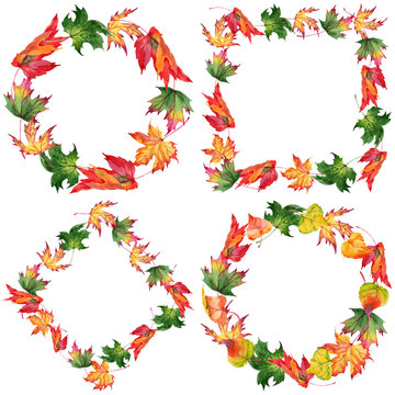 Maple leaves wreath in a watercolor style. Aquarelle maple leaves for background, texture, wrapper pattern, frame or border.