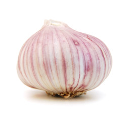 Garlic on a white background