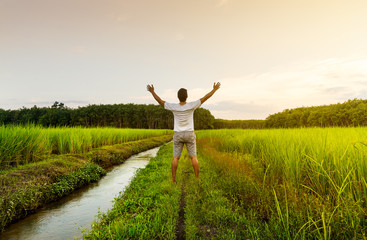 Fototapeta premium The man relax on rice field with sunrise or sunset