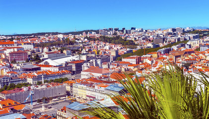 Obraz premium Orange Roofs Market Lisbon Portugal