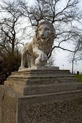  sculptural image of a lion