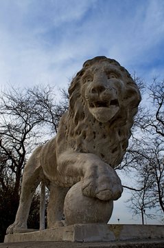  sculptural image of a lion