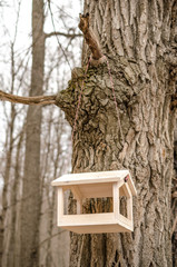 bird feeders. tree house for the birds