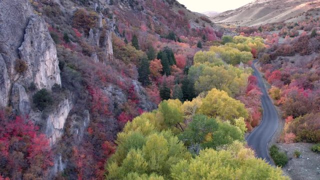 Flying backwards over Fall foilage in canyon with winding road leading through.