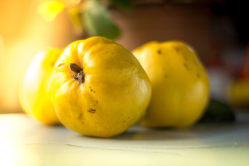 Organic Ripe yellow quince fruit on wooden table.