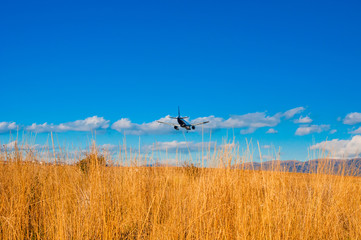 Passenger airplane landing against blue sky