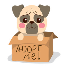 Cute little pug dog inside cardboard box with adopt me text - obrazy, fototapety, plakaty