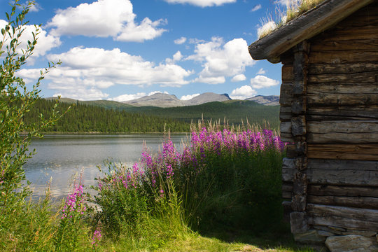 Building by Lake