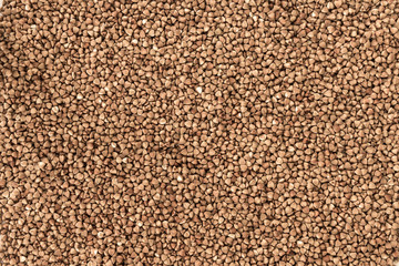 Dry Buckwheat Grain. Healthy Cereal Vegetarian Food Background