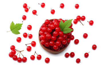 Red berries of Viburnum (arrow wood) in wooden bowl with green leaf isolated on white background top view